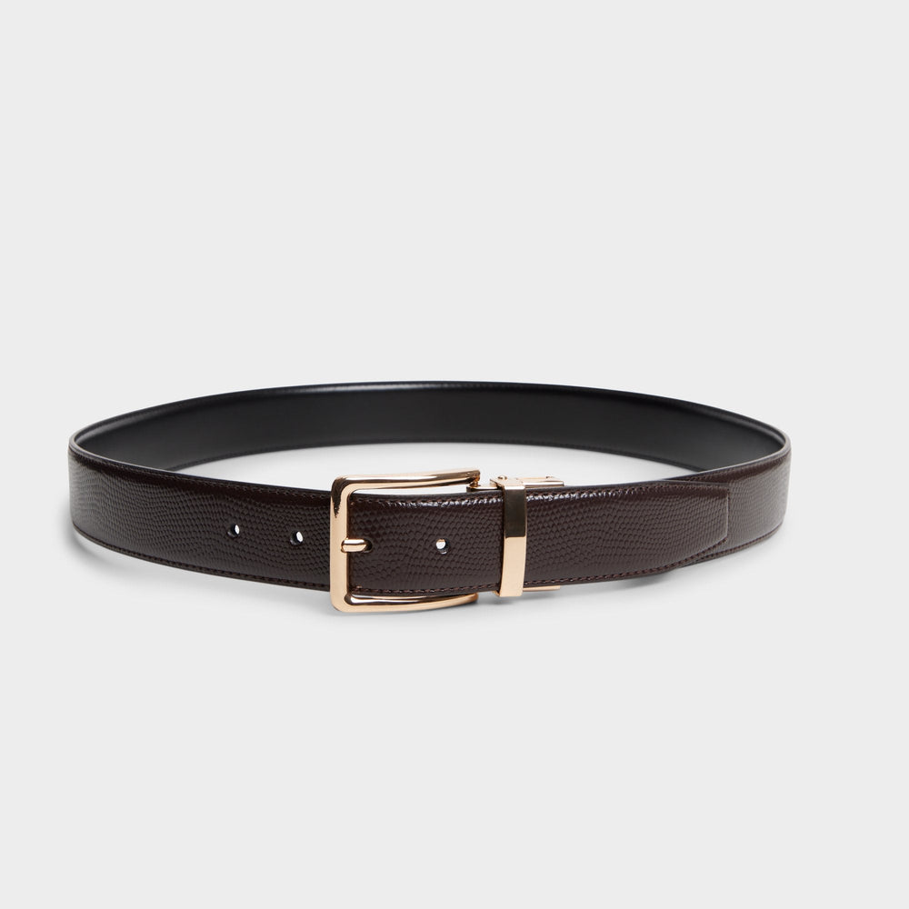 Aldo Nicholas in Dark Brown - Belt