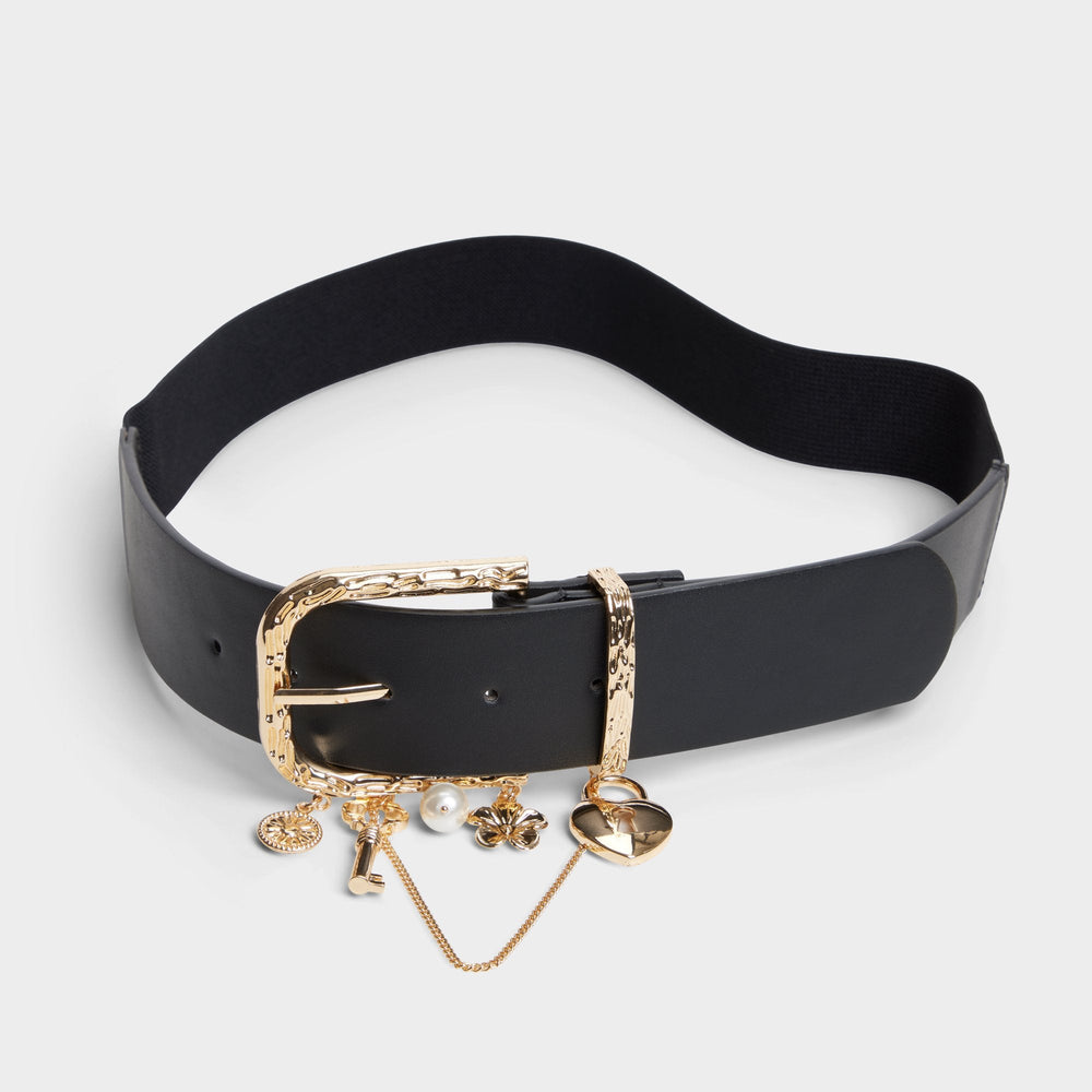 Aldo Charmedbelt in Black Gold Multi - Belt