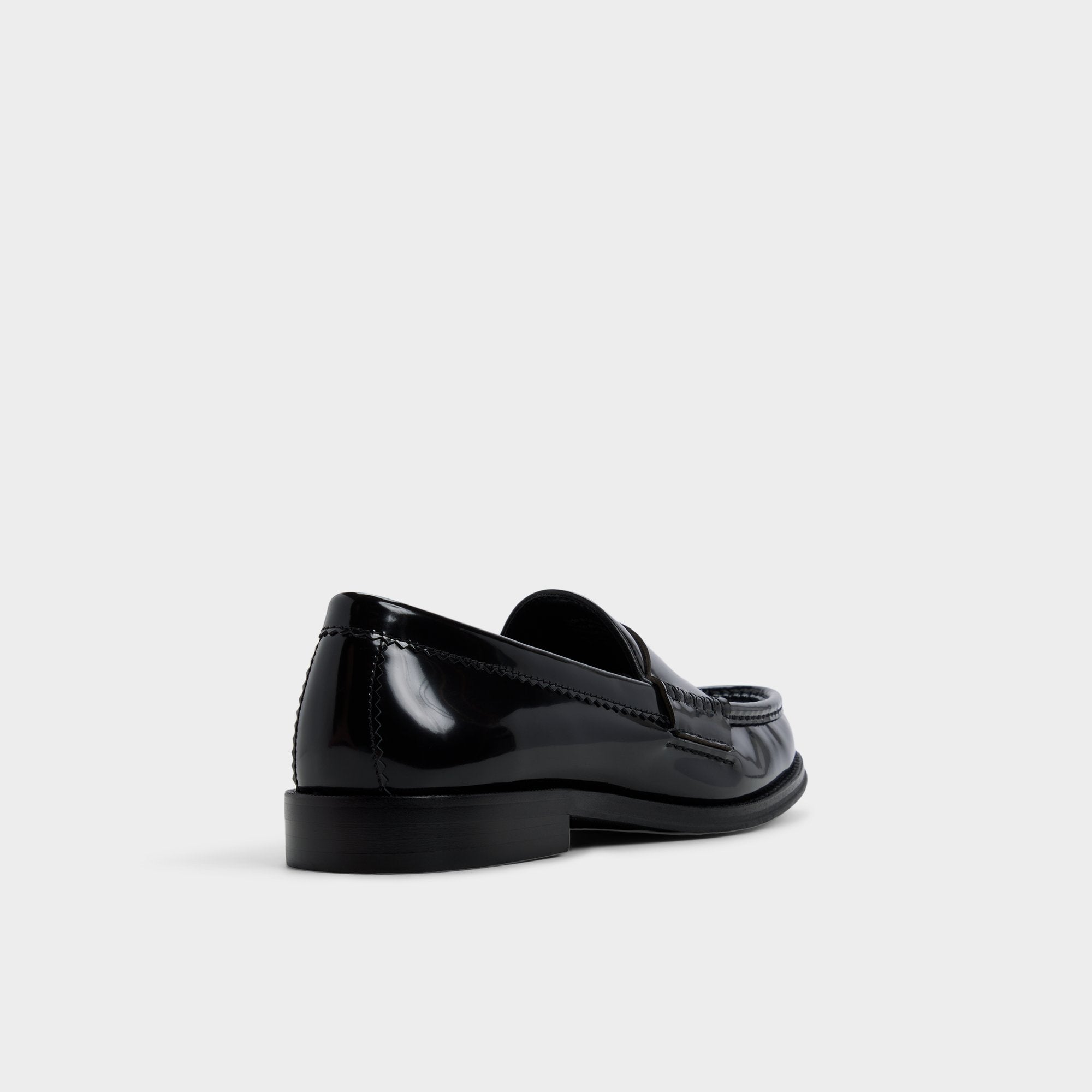 Aldo Ludovik in Black - Loafer