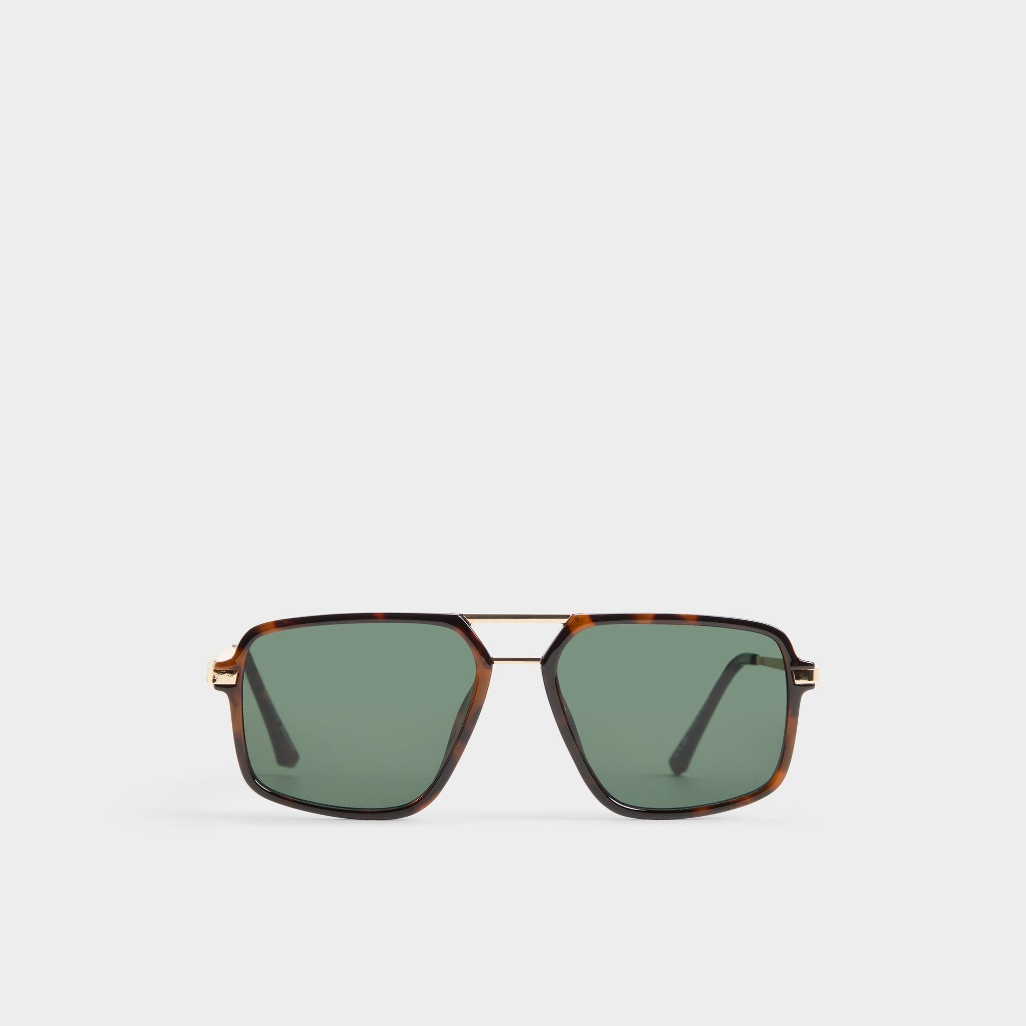 Aldo Natanielx in Brown - Sunglasses