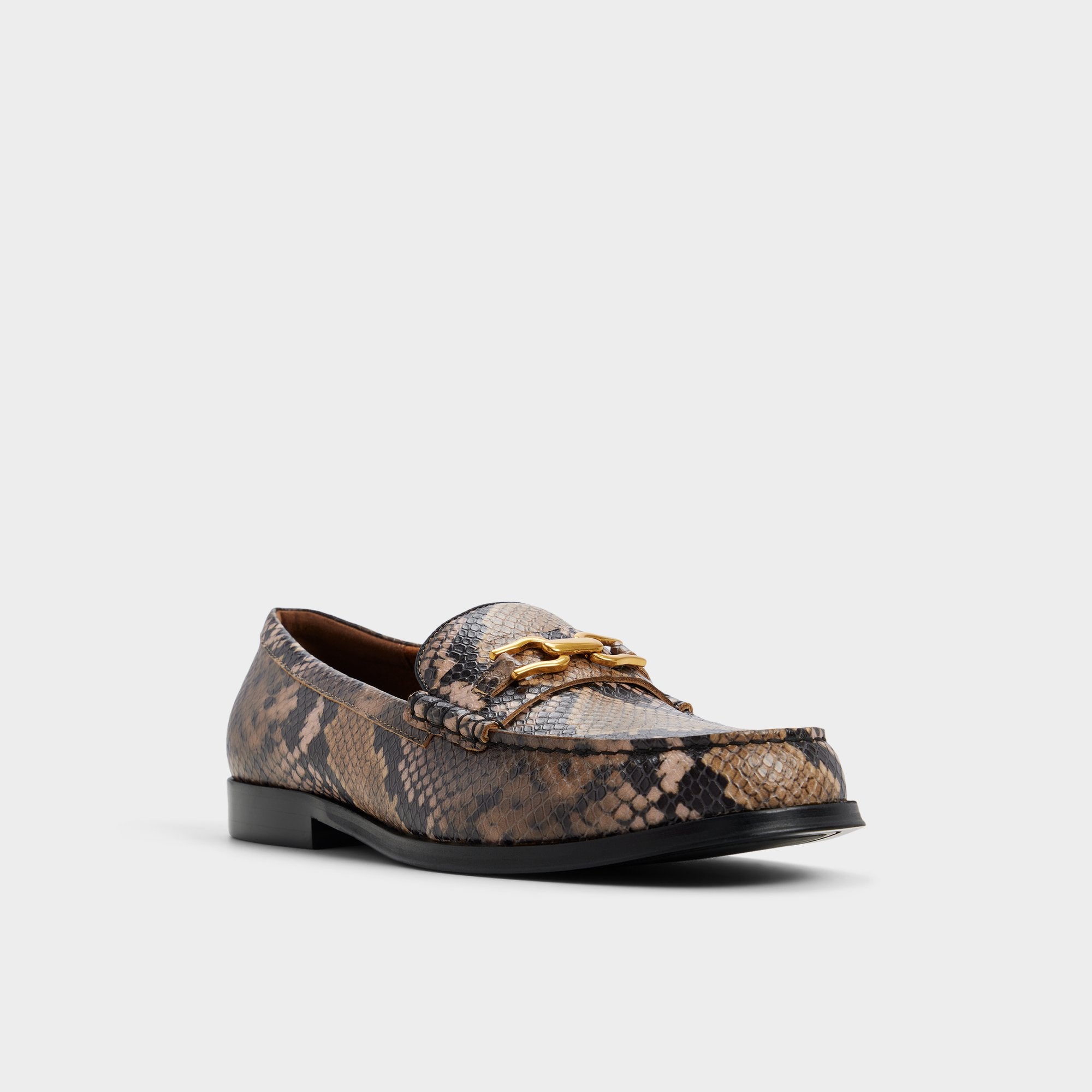 Aldo Edouard in Brown Multi - Loafer
