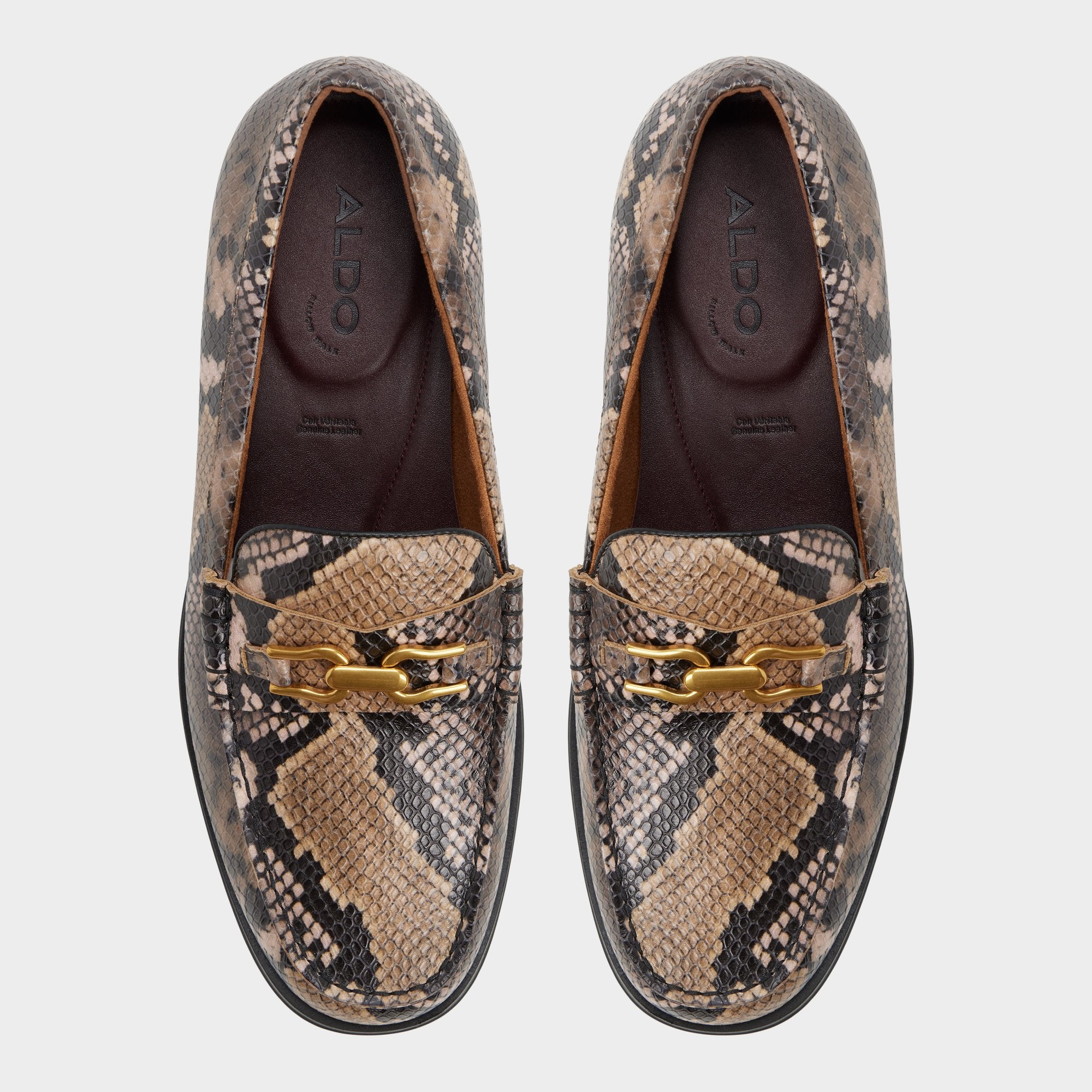 Aldo Edouard in Brown Multi - Loafer
