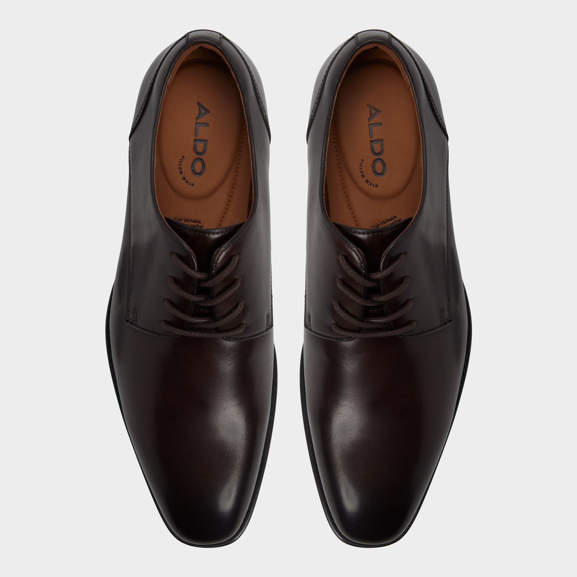 Aldo Allegro in Dark Brown - Oxford shoe