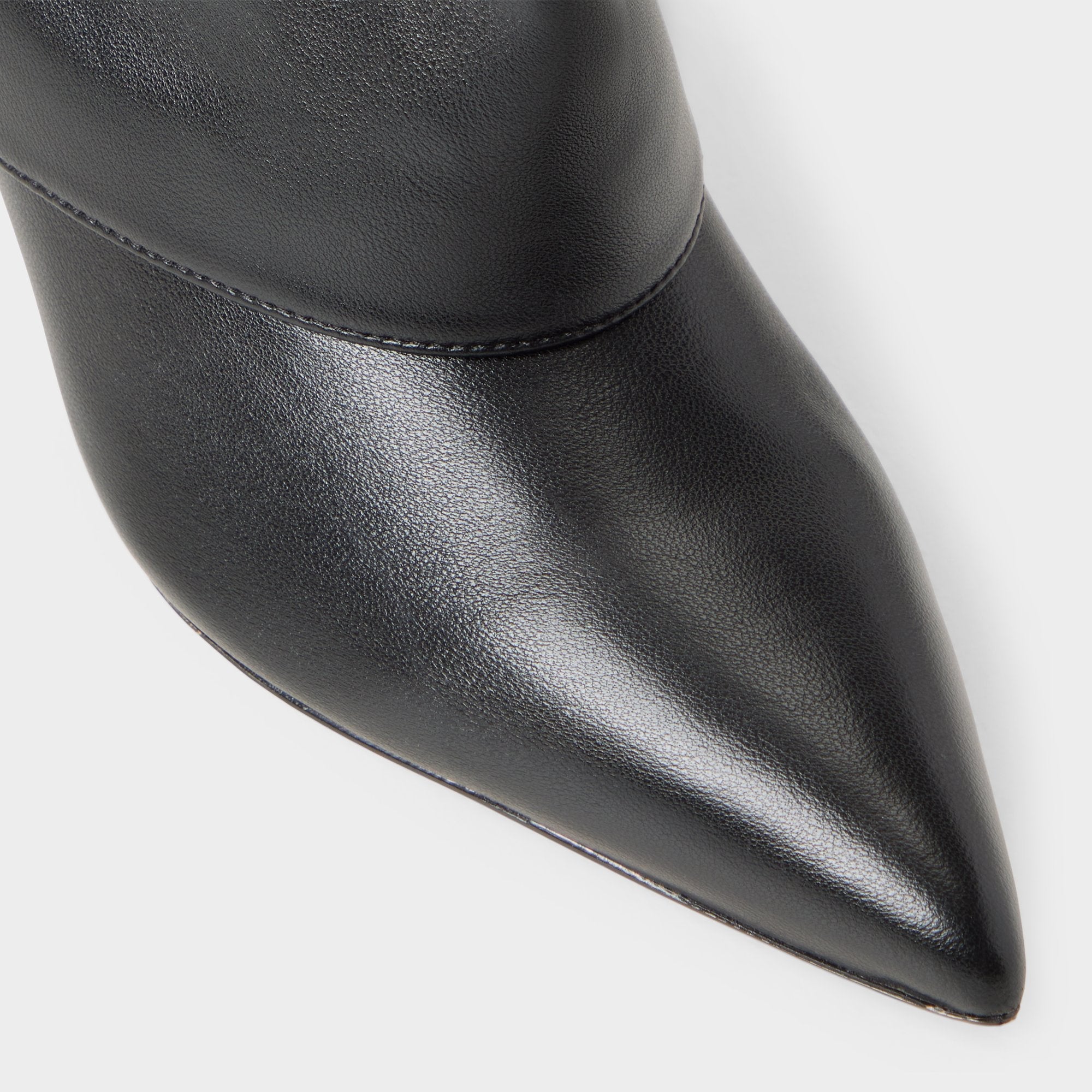 Aldo Aseader in Black - Knee-high boot, Stiletto heel