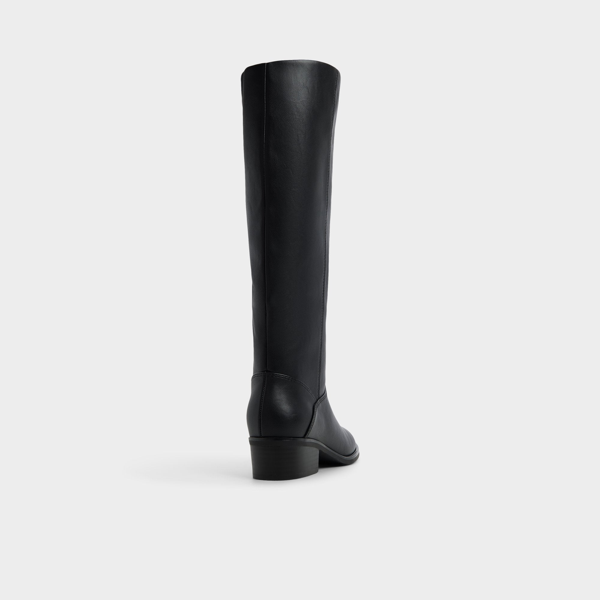 Aldo Kaydienh in Black - Knee-high boot, Block heel