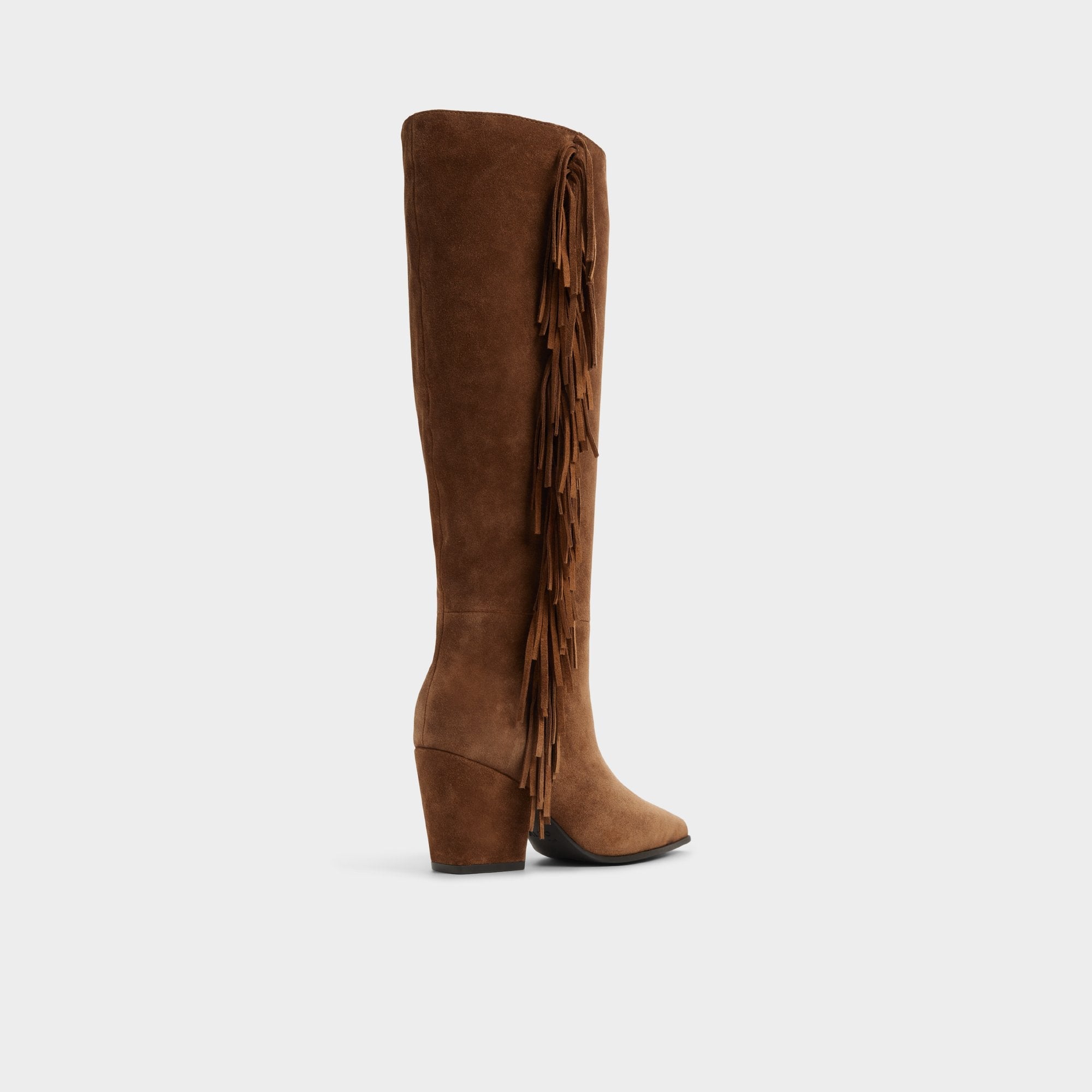 Aldo Kaelya in Dark Brown - Knee-high boot, Block heel