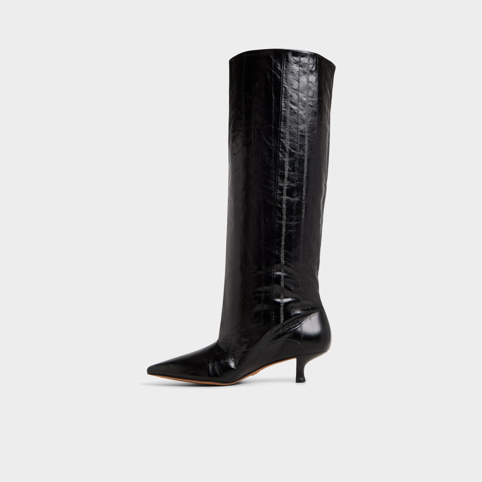 Aldo Everose in Black - Knee-high boot, Kitten heel