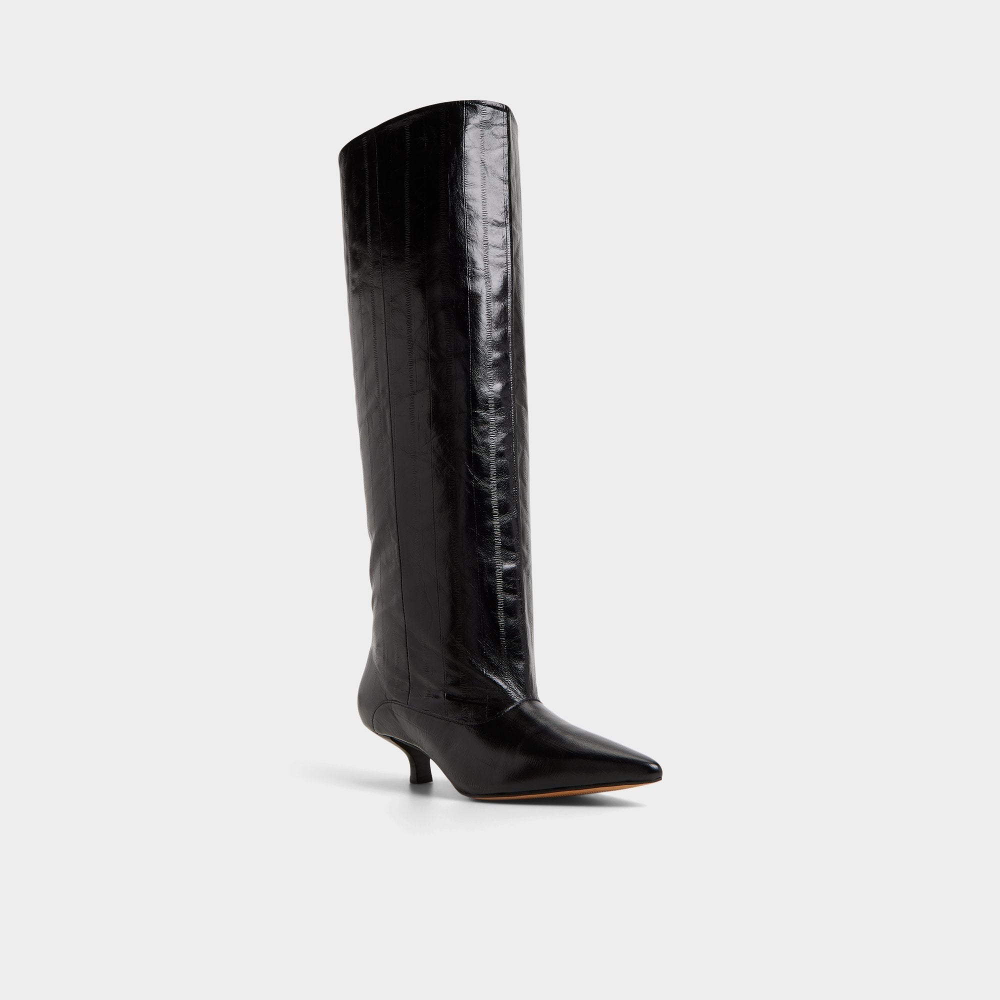 Aldo Everose in Black - Knee-high boot, Kitten heel