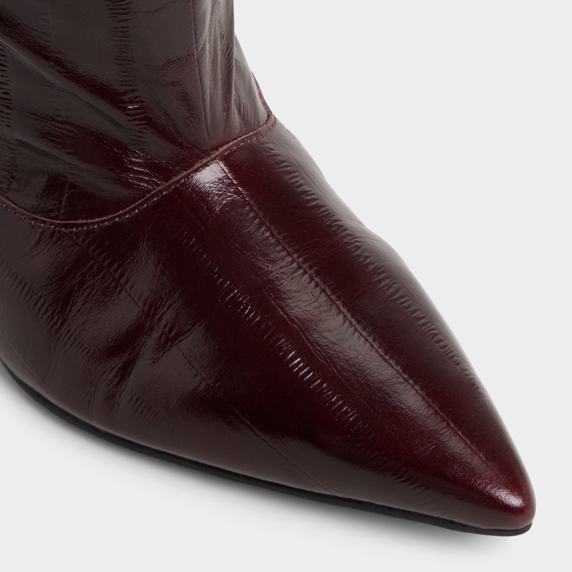 Aldo Everose in Bordo - Knee-high boot, Kitten heel