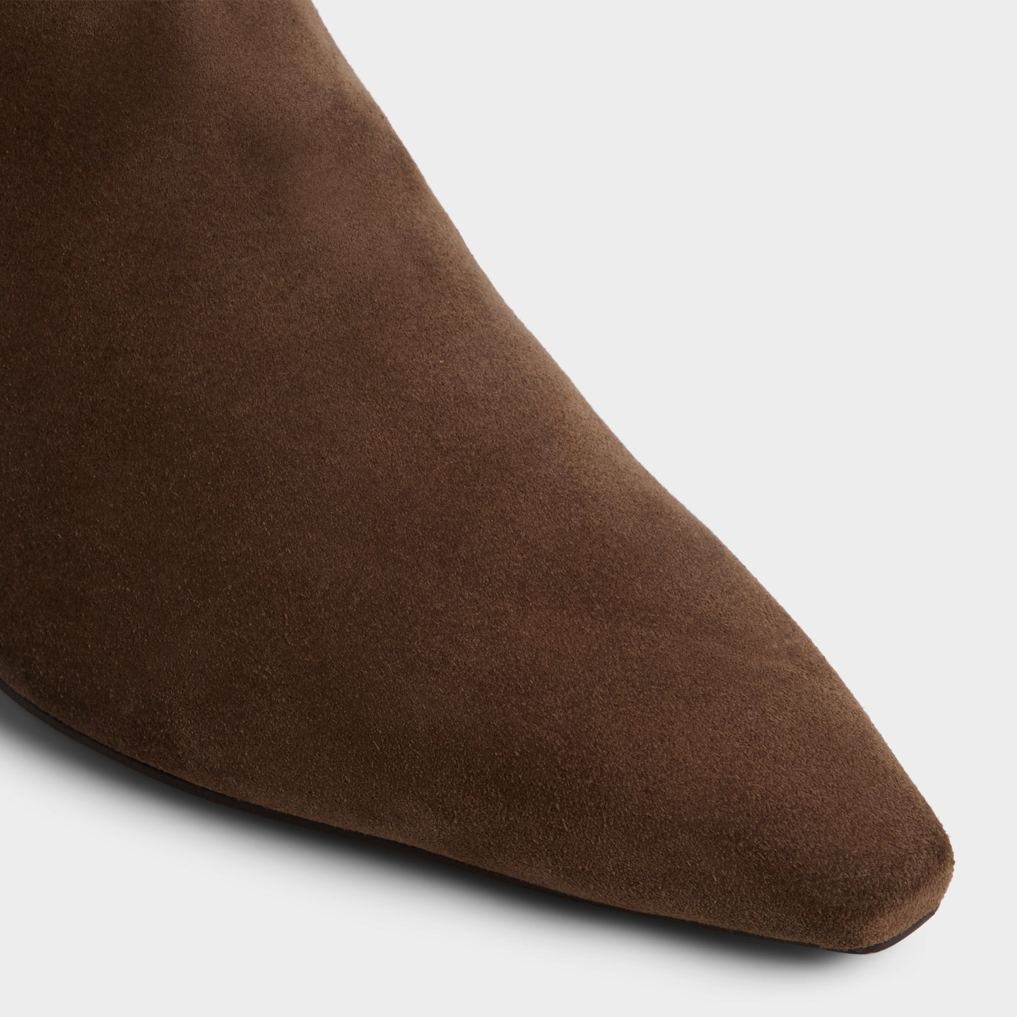 Aldo Muttsee Other Brown Women's Tall Boots - Knee-high boot, Brown