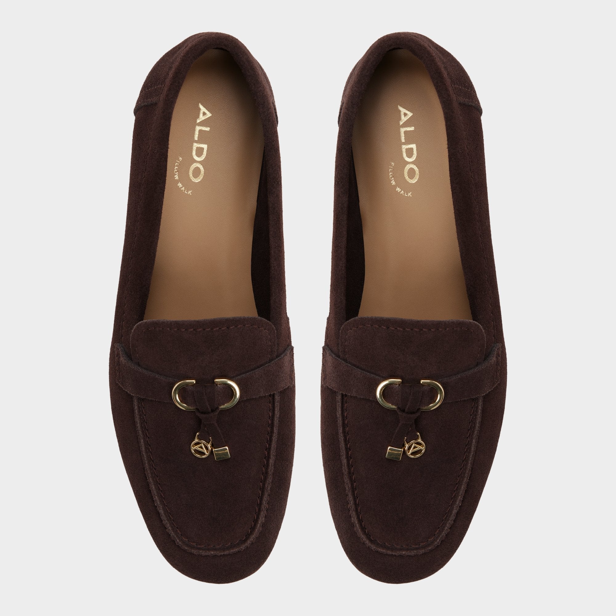 Aldo Ybilide in Dark Brown - Loafer