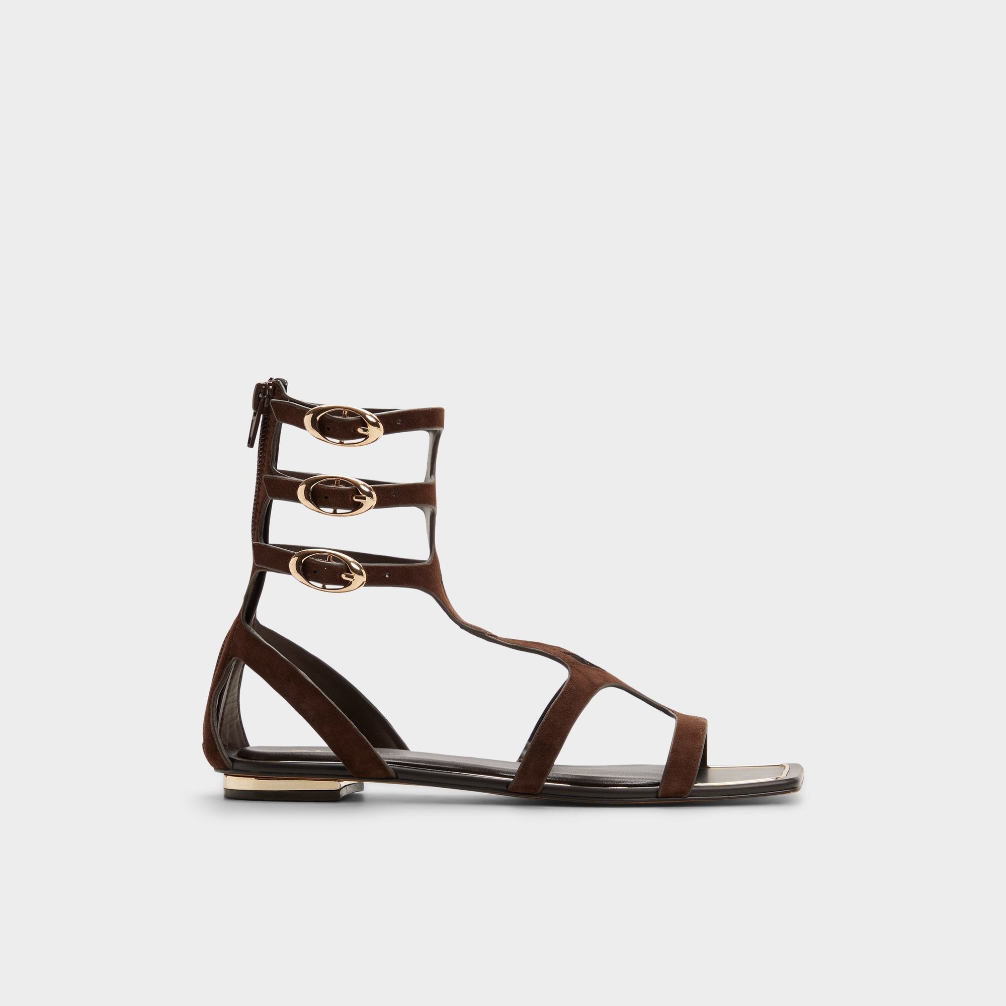 Aldo Marisea in Dark Brown - Gladiator sandal