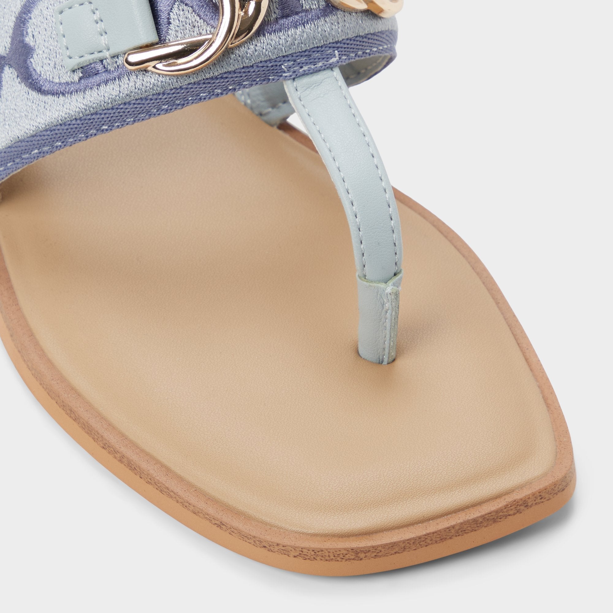 Aldo Coralynna in Other Blue - T-strap sandal