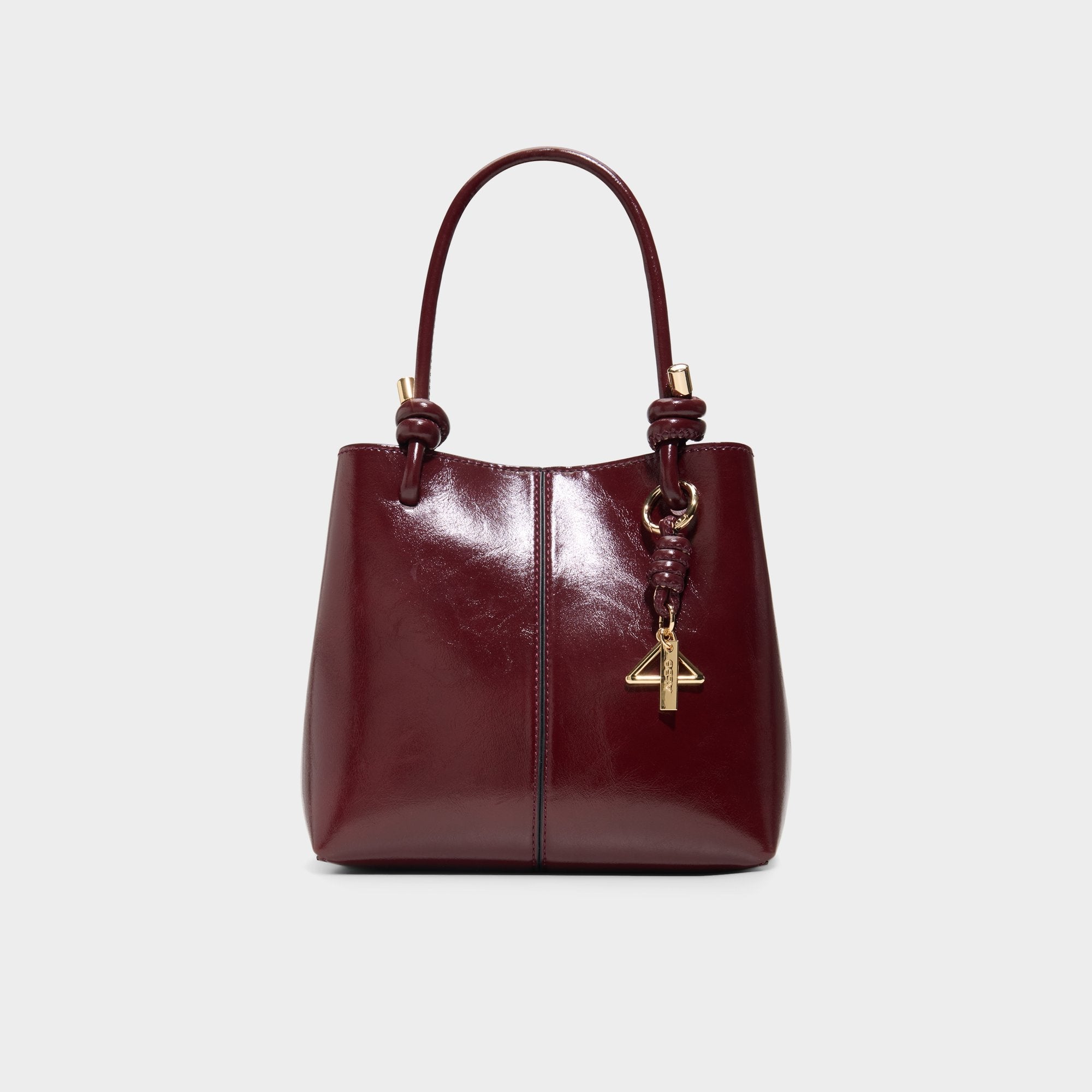 Aldo Evielilyy in Bordo - Satchel bag
