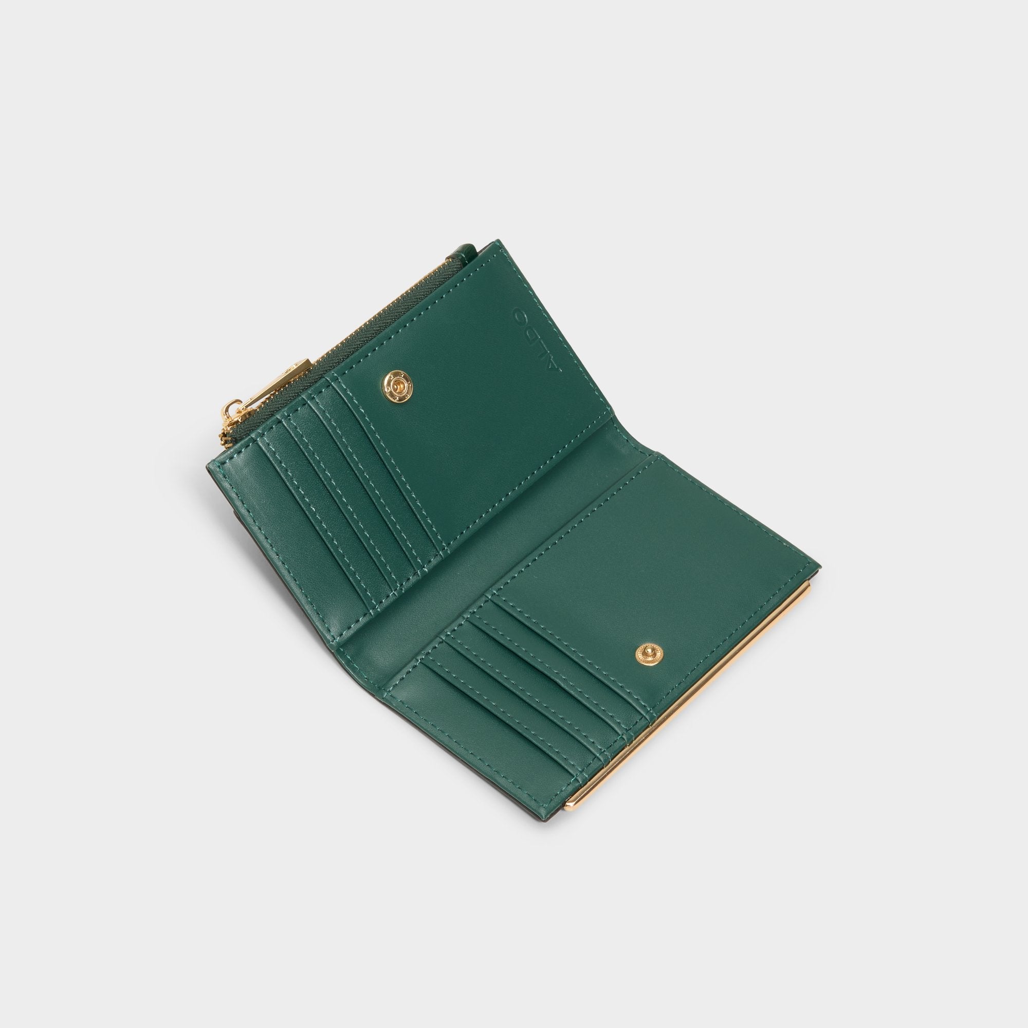 Aldo Mereclyaa in Green - Wallet
