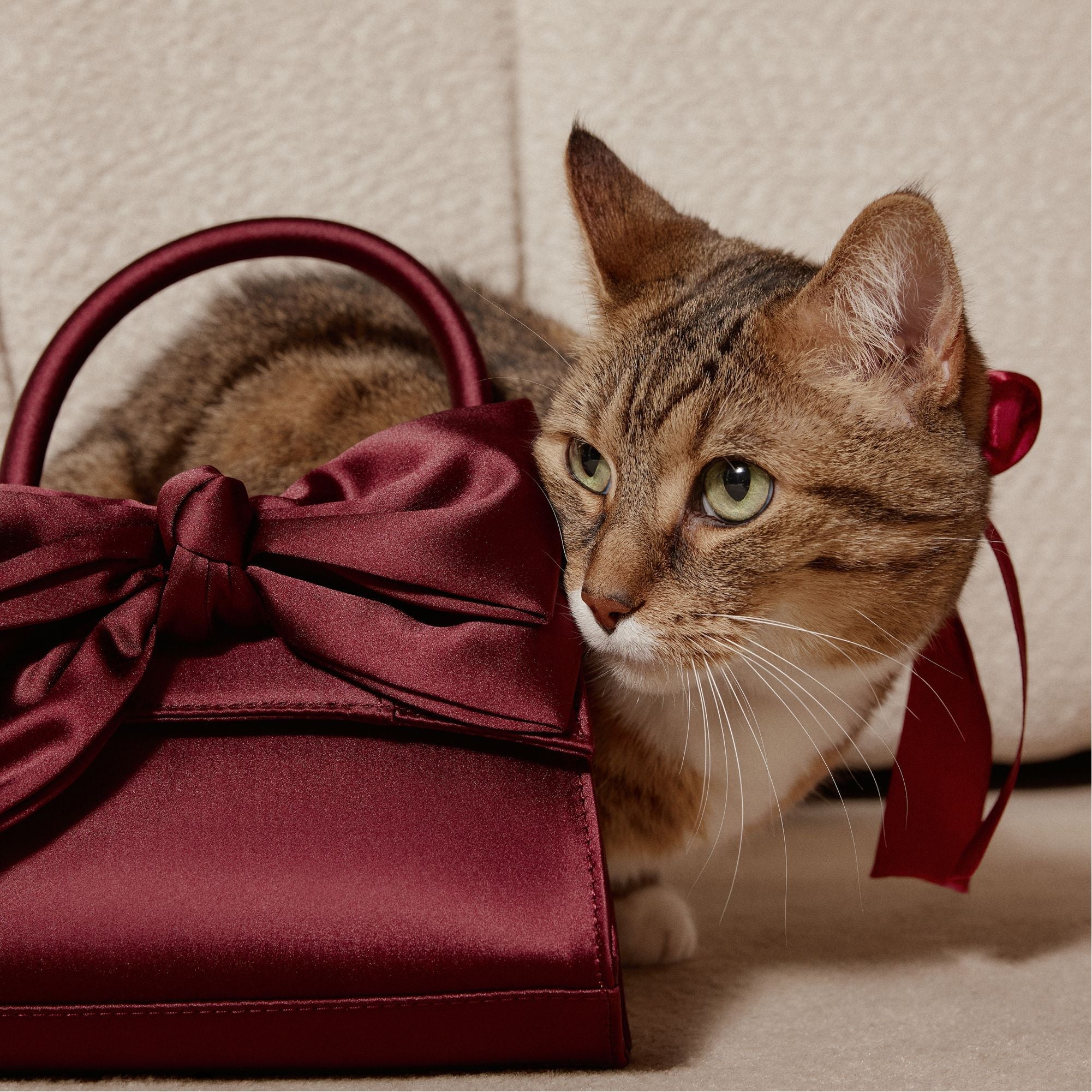 Aldo Decadencee in Dark Red - Top handle bag