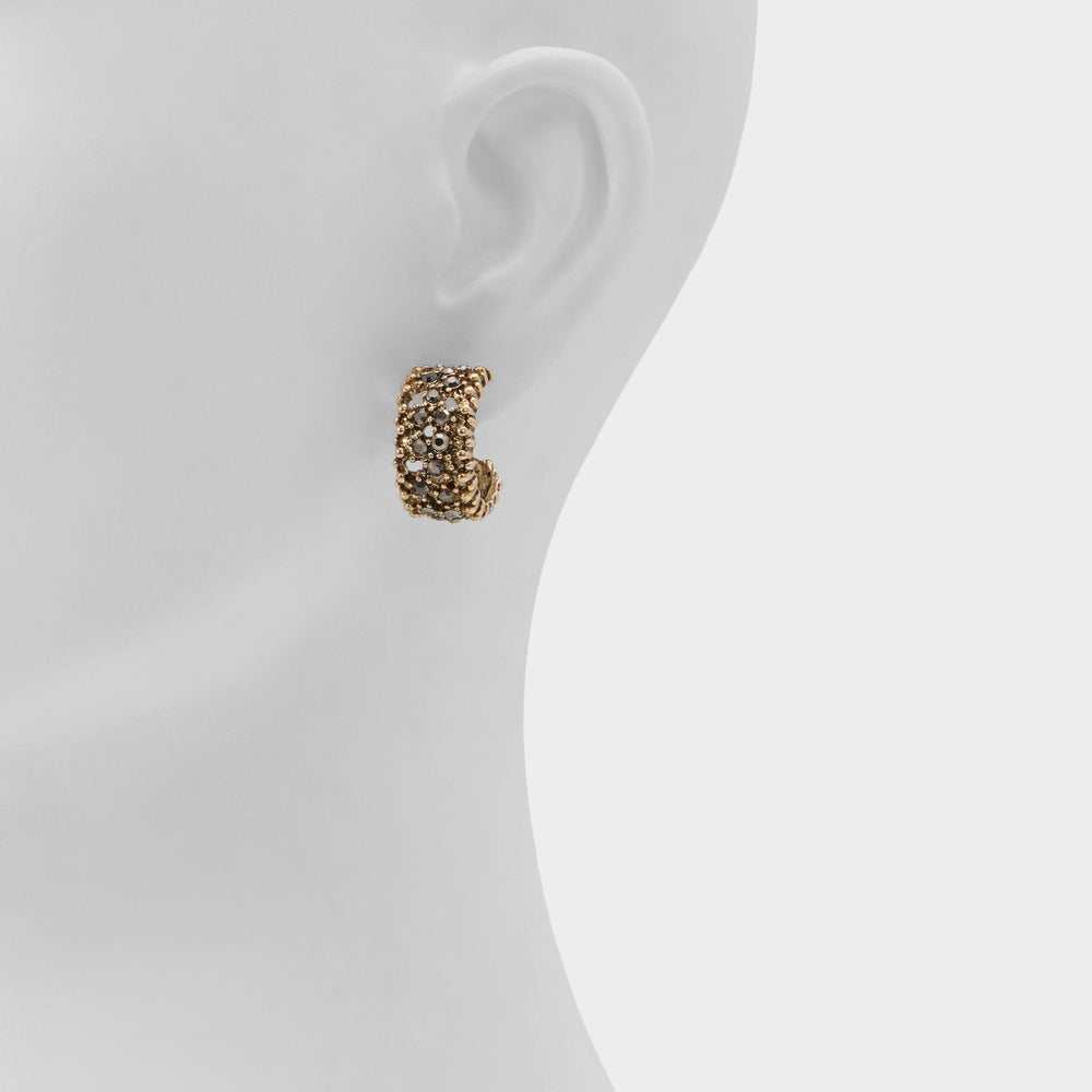 Aldo Maplevale in Grey - Hoop earrings