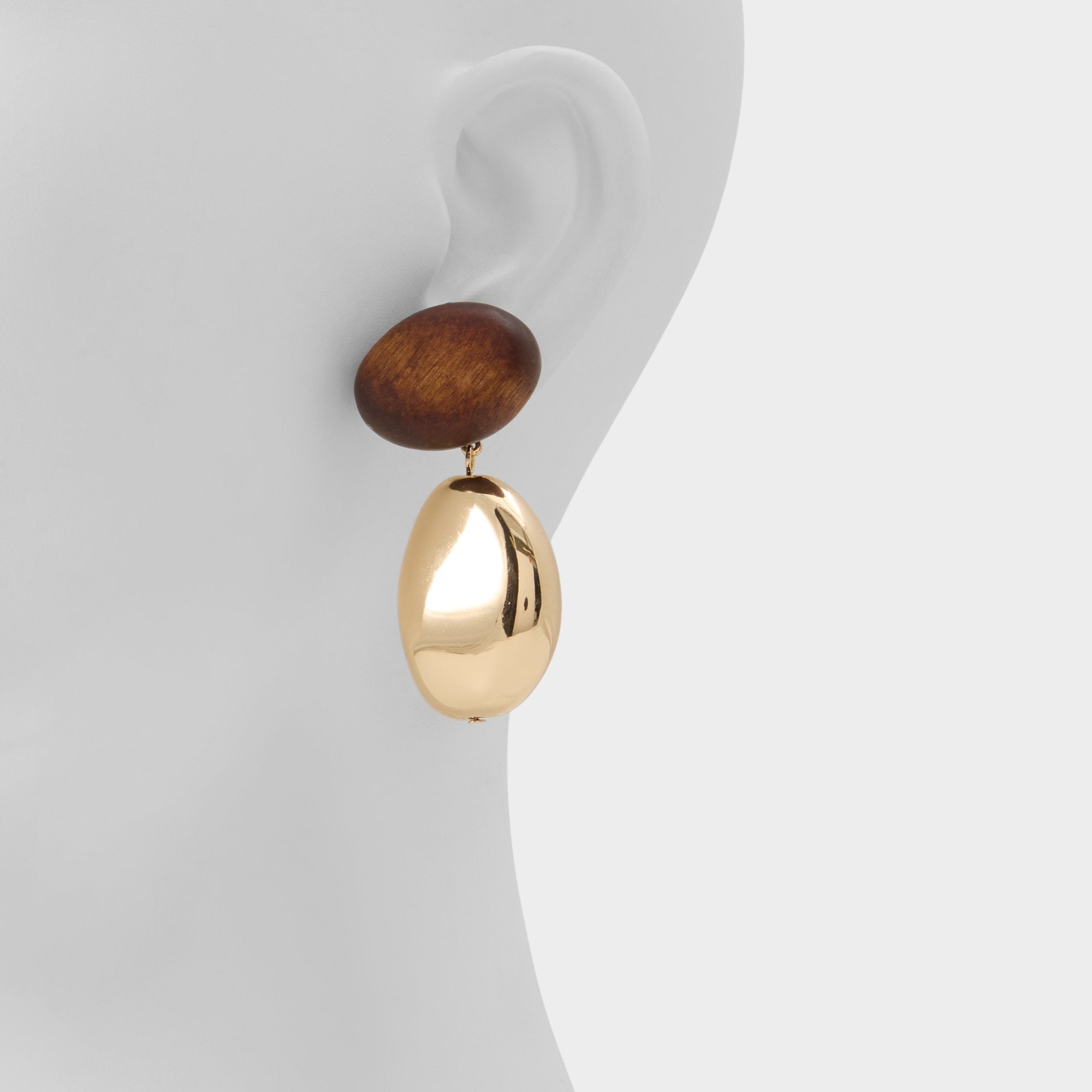 Aldo Teyrra in Other Brown - Chandelier earrings