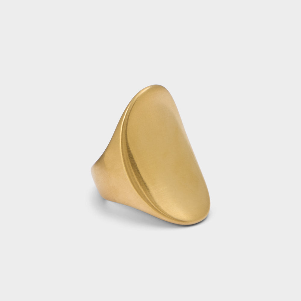 Aldo Reigna in Gold - Ring