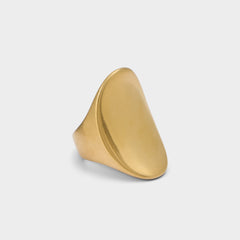 Aldo Reigna in Gold - Ring