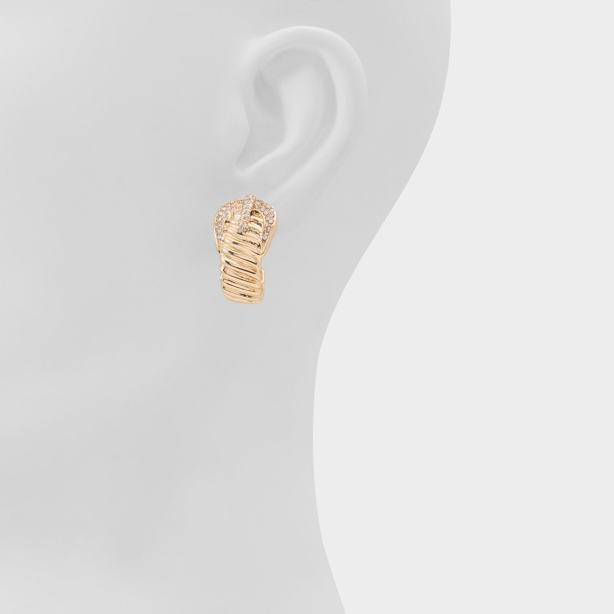 Aldo Cintura in Gold Clear Multi - Hoop earrings