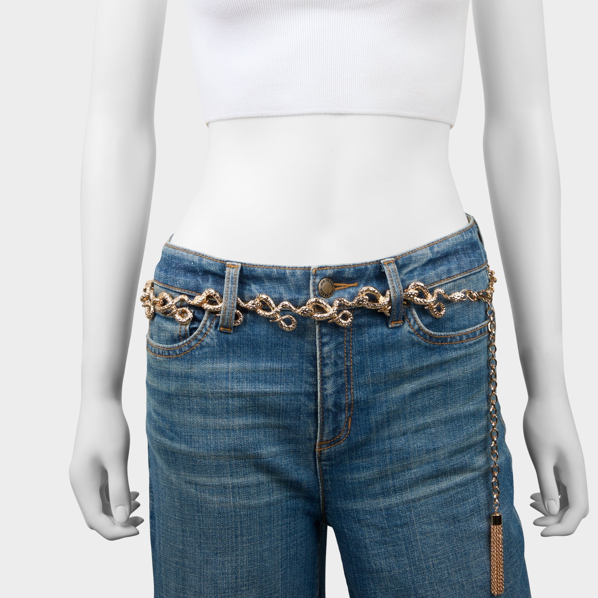 Aldo Viperelle in Gold - Belt