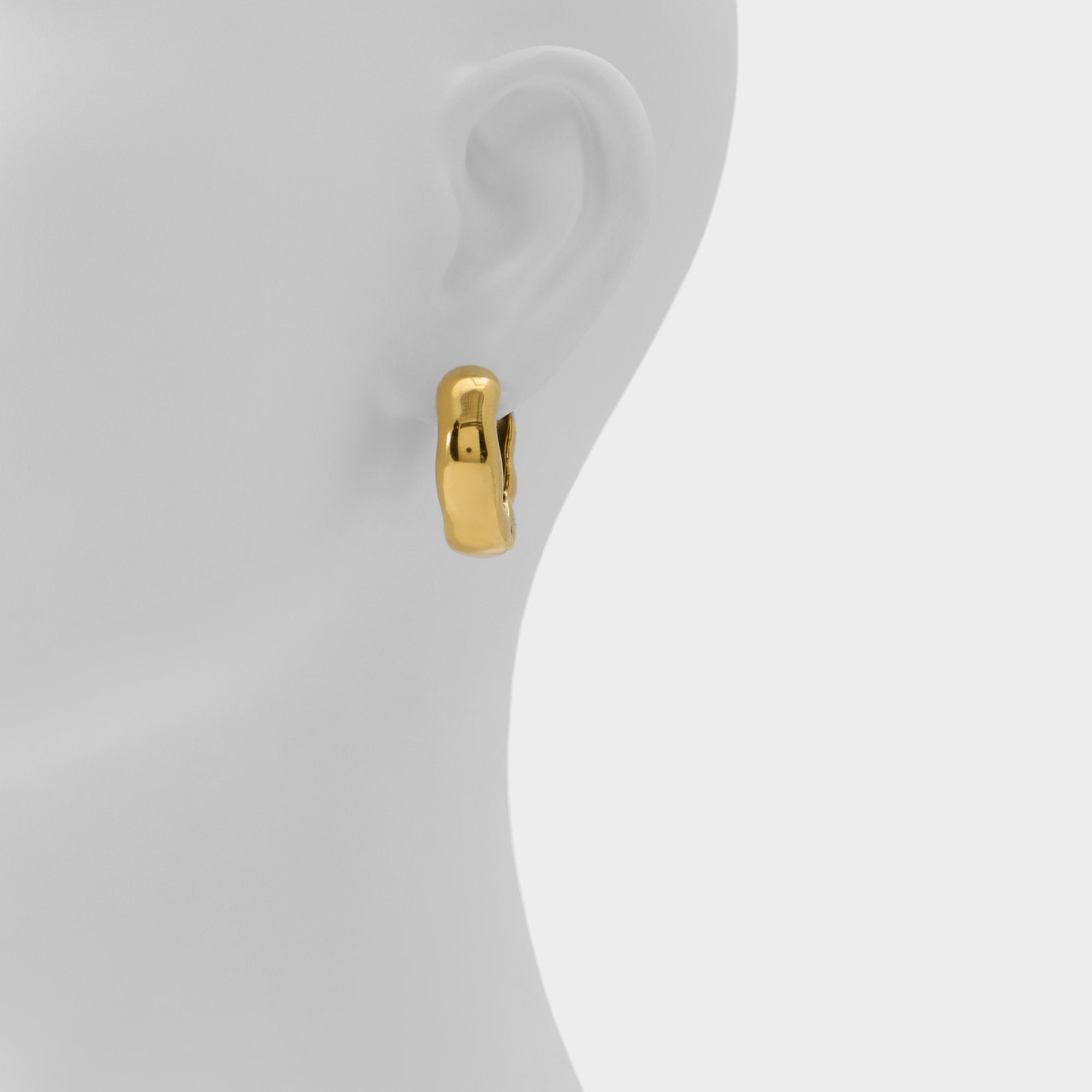 Aldo Carandar in Gold - Hoop earrings