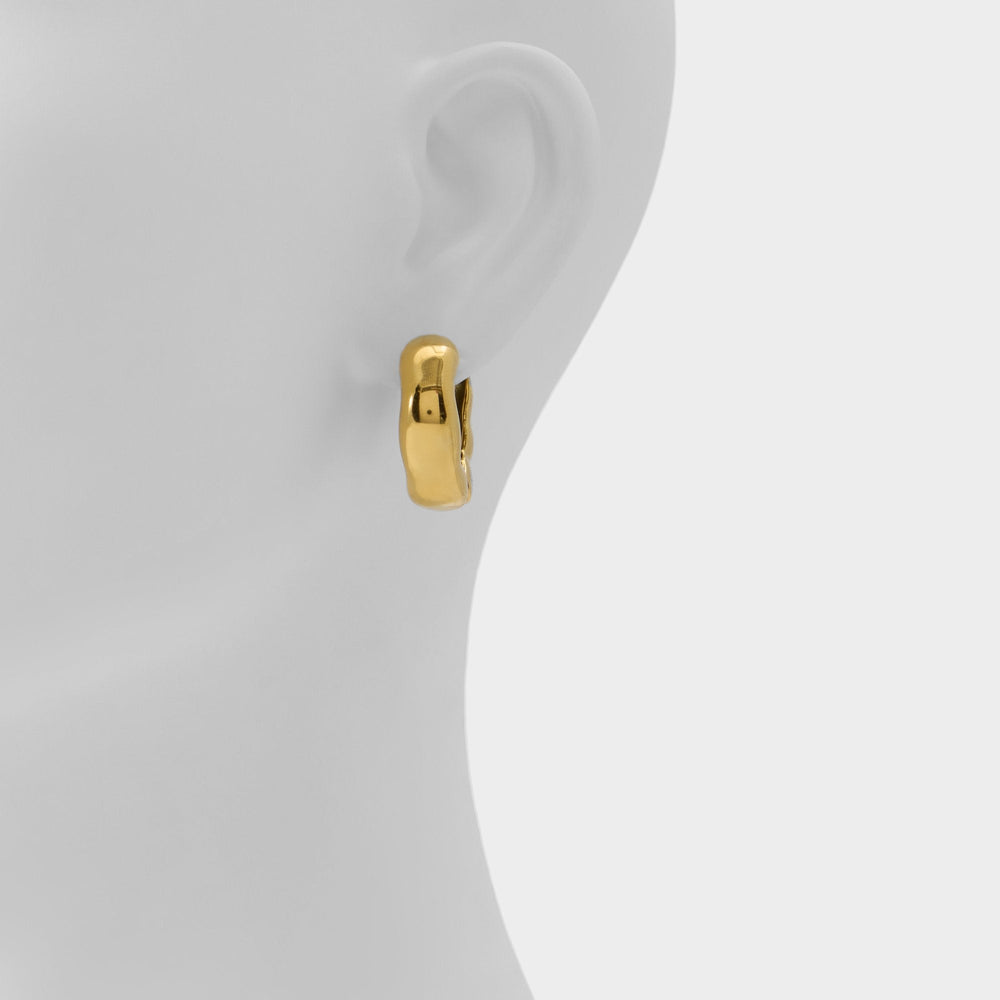Aldo Carandar in Gold - Hoop earrings