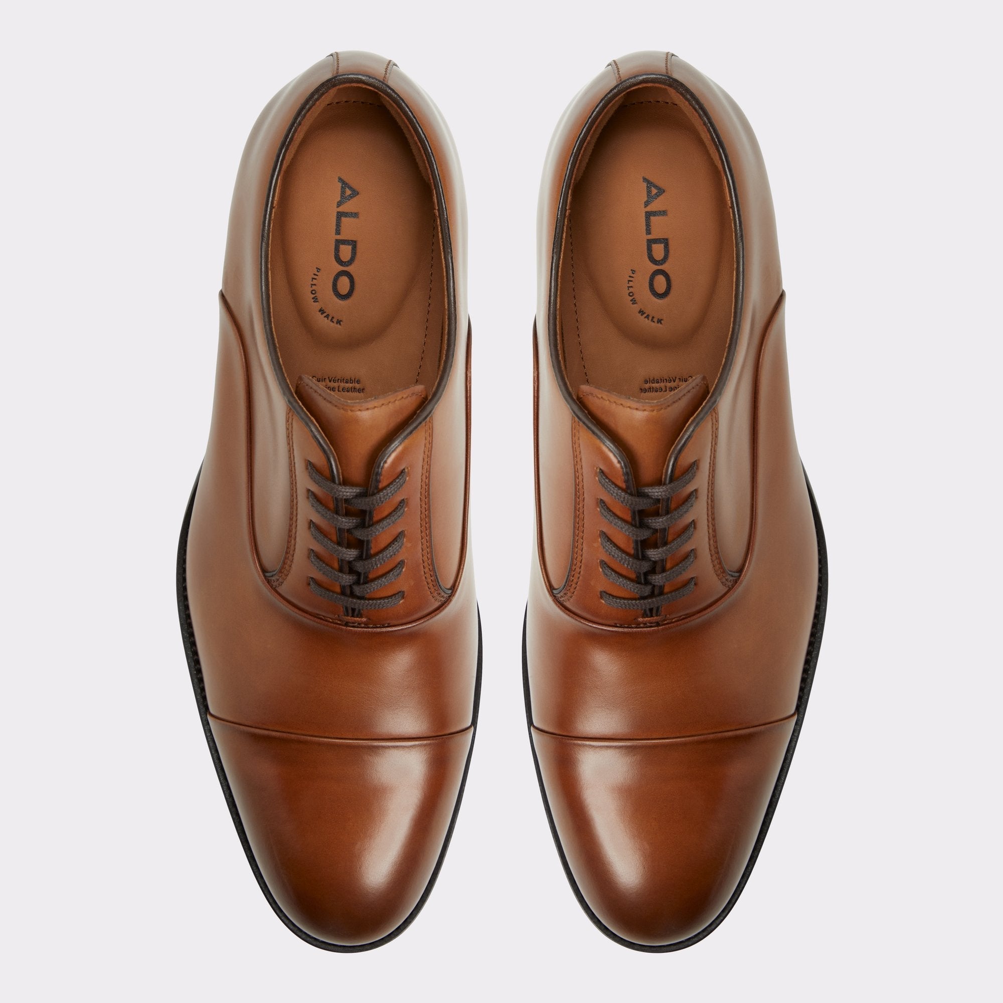 Aldo Lazio in Cognac - Oxford shoe