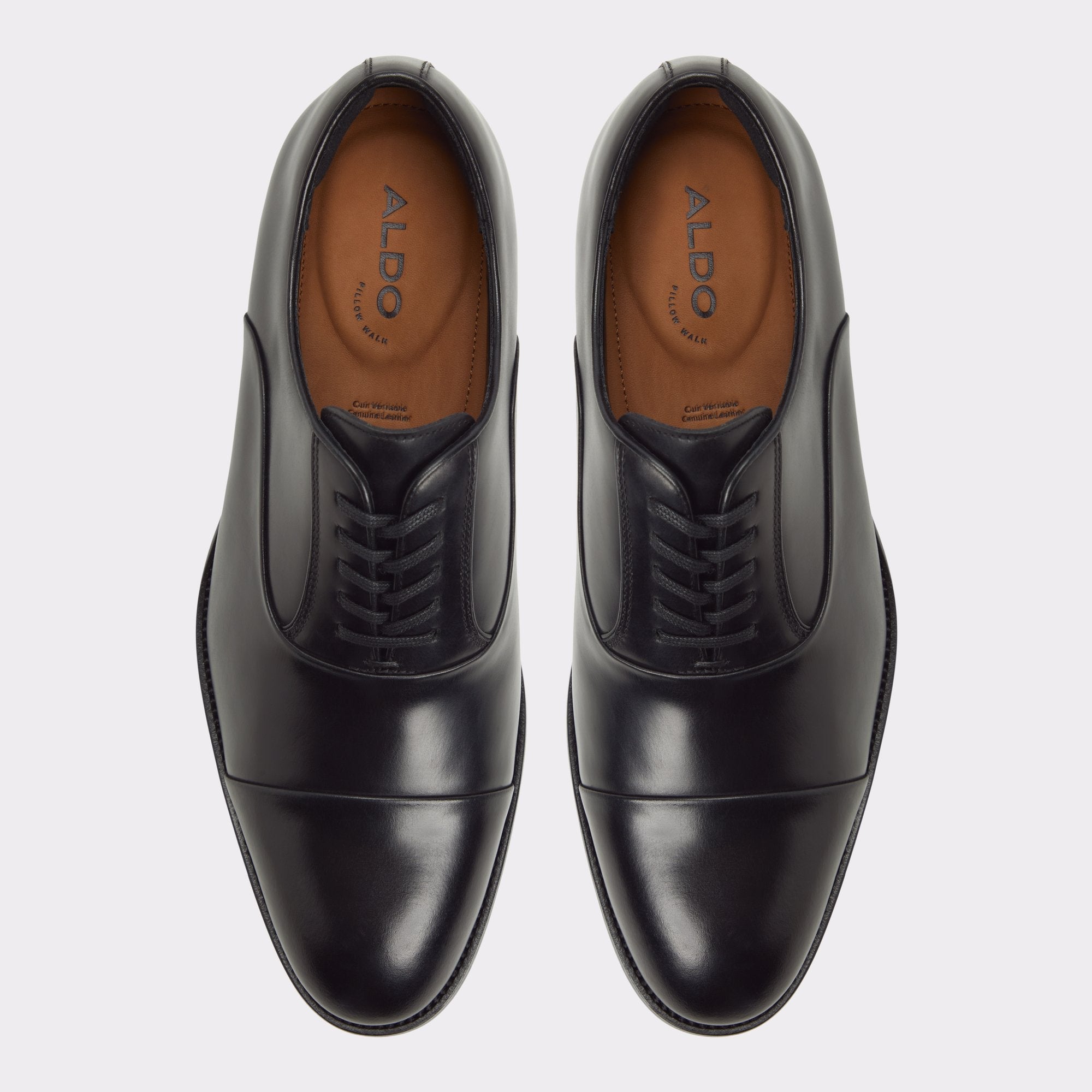 Aldo Lazio in Black - Oxford shoe