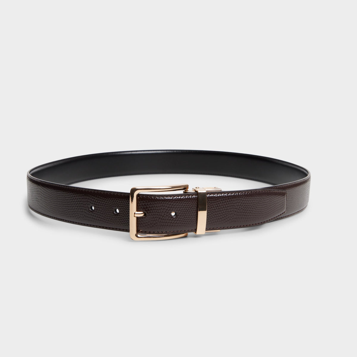 Aldo Nicholas in Dark Brown - Belt